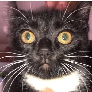 Meet your Posher, Barbara